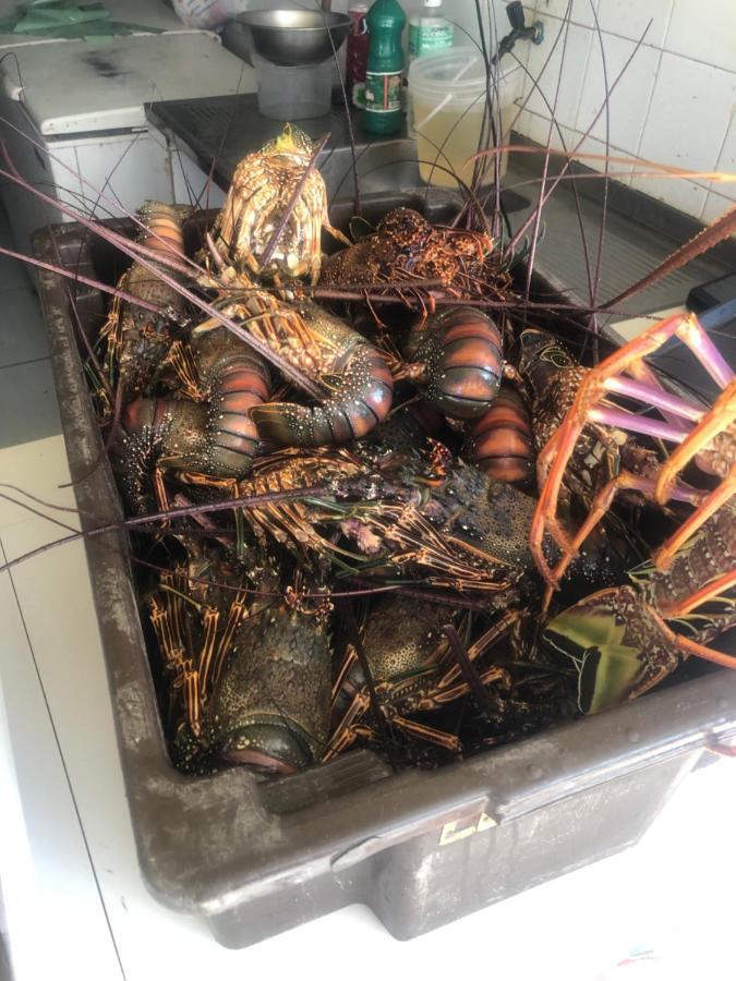 Paraiso Dos Corais Guarajuba Kültér fotó